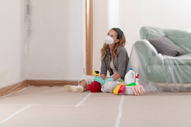 Reliable Black Mold Removal contractor in Bealeton, VA by WQB Mold Removal